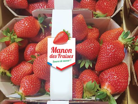 Manon-des-fraises